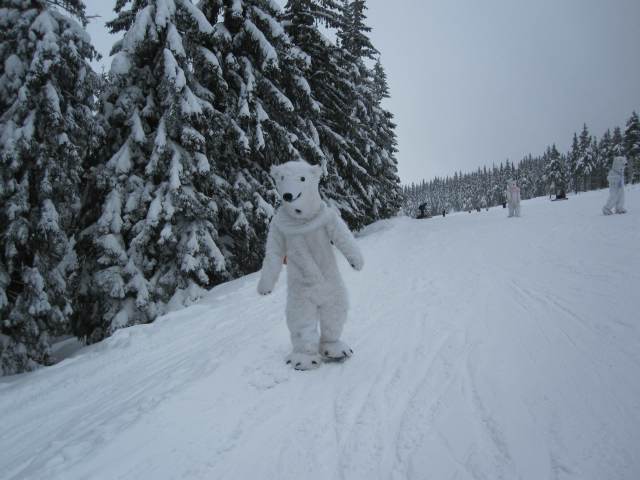 Spinleruv Mlyn Februari 2010